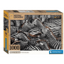 Clementoni - Puzzle 1000 peças Compacto: National Geografic Zebras