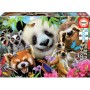 Educa - Puzzle 300 Peças: Animais Amigos