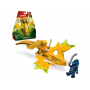 Lego Ninjago - Golpe do Dragão Ascendente do Arin 71803