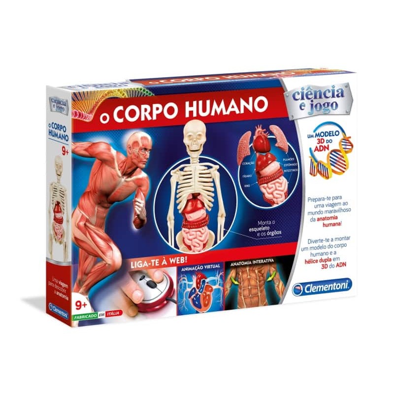 👧👦✏️Corpo humano - Escola Games - Jogos Educativos. 