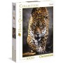 Clementoni - Puzzle 1000 Peças HQC Passeio do Jaguar